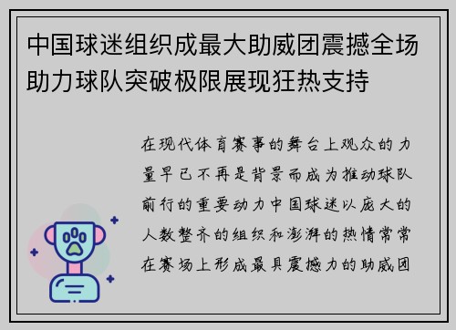 中国球迷组织成最大助威团震撼全场助力球队突破极限展现狂热支持