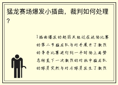 猛龙赛场爆发小插曲，裁判如何处理？